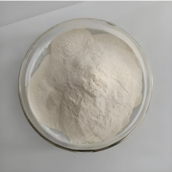 Xanthan Gum